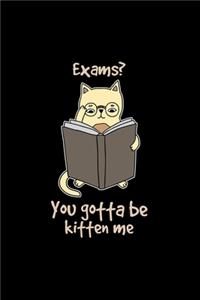 Exams? Kitten