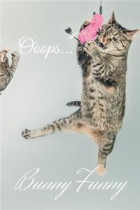 Funny Cats