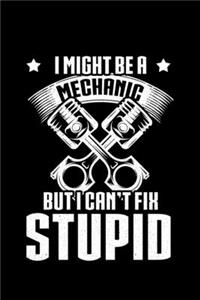 I Might Be a Mechanic But I can't Fix Stupid