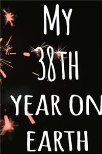 My 38th Year On Earth