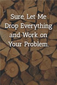 Sure, Let Me Drop Everything and Work on Your Problem. Notebook