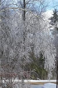2020 Weekly Planner Winter Ice Storm Birch Tree Snow Covered 134 Pages