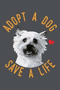 Adopt A Dog Save A Life