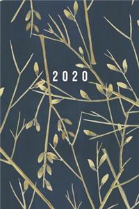 2020