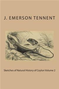 Sketches of Natural History of Ceylon Volume 2