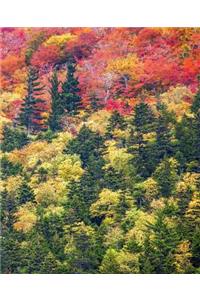Fall Leaves Autumn Color School Composition Book Diary To Write In 130 Pages