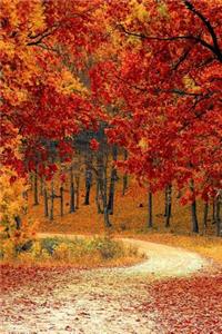 Fall in the Forest Journal