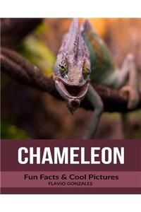 Chameleon: Fun Facts & Cool Pictures