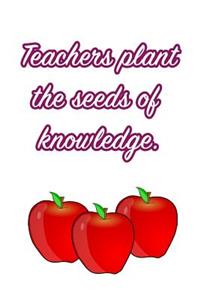 Teachers Plant the Seeds of Knowledge