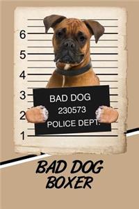 Bad Dog Boxer
