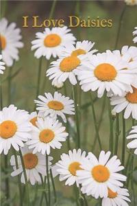 I Love Daisies