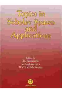 Topics in Sobolev Spaces and Applications