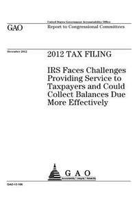 2012 tax filing