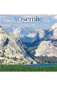 Yosemite 2021 Square Foil