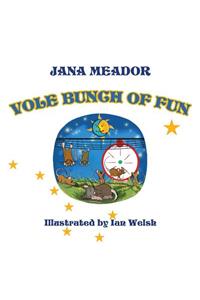 Vole Bunch of Fun