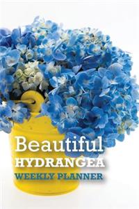 Beautiful Hydrangea