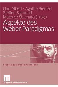 Aspekte des Weber-Paradigmas