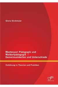 Montessori Pädagogik und Waldorfpädagogik - Gemeinsamkeiten und Unterschiede