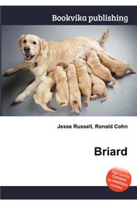 Briard