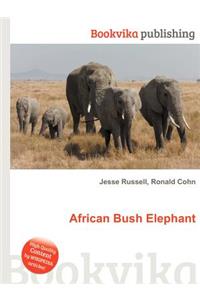 African Bush Elephant