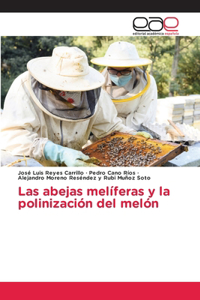 Las abejas melíferas y la polinización del melón