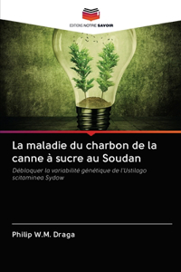 maladie du charbon de la canne à sucre au Soudan