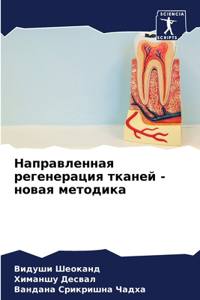 Направленная регенерация тканей - новая мk
