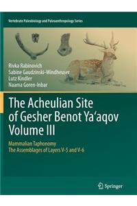 Acheulian Site of Gesher Benot Ya'aqov Volume III
