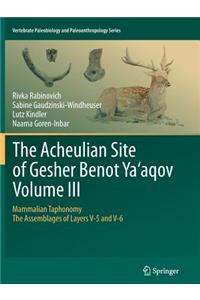 The Acheulian Site of Gesher Benot Ya'aqov Volume III