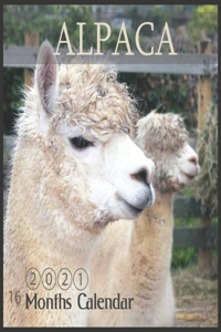 2021 Alpaca Calendar