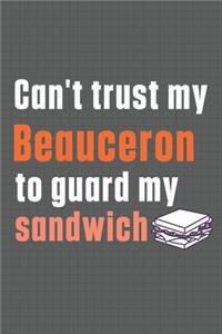 Can't trust my Beauceron to guard my sandwich