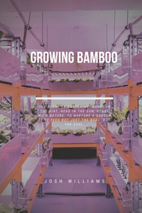Growing Bamboo