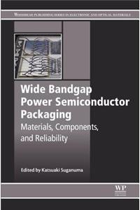 Wide Bandgap Power Semiconductor Packaging