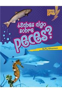 ¿sabes Algo Sobre Peces? (Do You Know about Fish?)