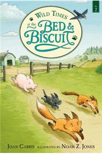Wild Times At The Bed And Biscuit
