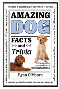 Amazing Dog Facts and Trivia