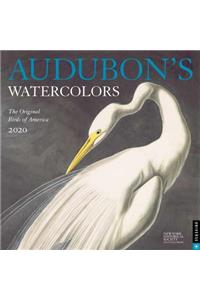 Audubon's Watercolors 2020 Wall Calendar