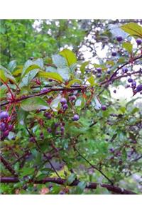 School Composition Book Berries Fruit Tree Branches