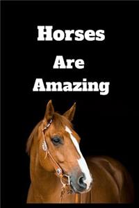 Horses Are Amazing
