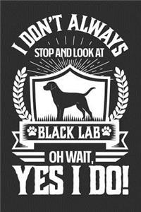 I Don't Always Stop and Look At Black Lab OH Wait, Yes I Do!