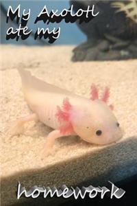 My Axolotl ate my homework