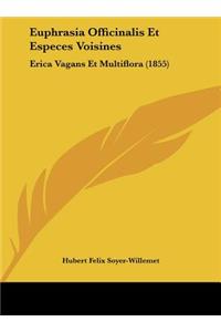 Euphrasia Officinalis Et Especes Voisines