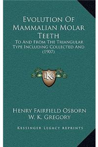 Evolution of Mammalian Molar Teeth