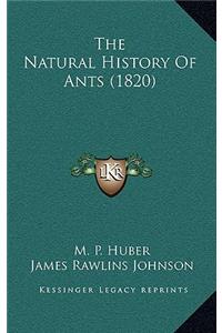 The Natural History Of Ants (1820)