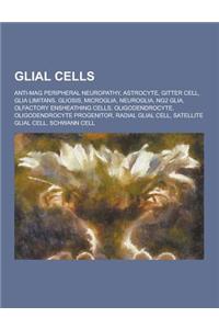 Glial Cells