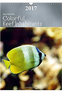 Colorful Reef Inhabitants 2017