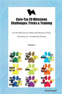 Care-Tzu 20 Milestone Challenges