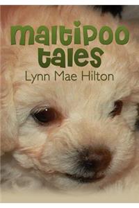 Maltipoo Tales