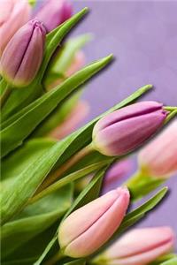 Mind Blowing Purple tulips Background Journal