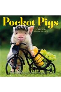 Pocket Pigs Wall Calendar 2020